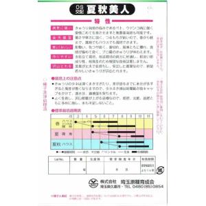 埼玉原種育成会 キュウリ 夏秋美人 [内容量:...の詳細画像1