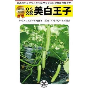 ネギ種子】ダイヤ交配（トキタ種苗） 「森の奏（もりのかなで）」 5000