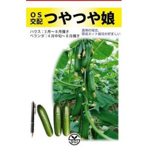 西洋野菜種子】 サカタ交配 アスパラガス 「ウェルカム」 10ml（約