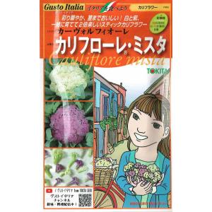 NLハーブ種子 スイートバジル ATY603 【タキイのタネ】 : 吉谷農芸