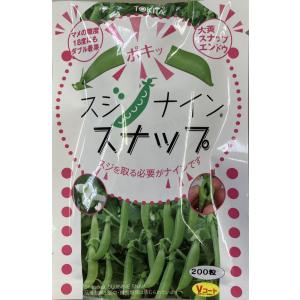 トキタ種苗 スナップエンドウ スジナインスナップのタネ[内容量：約200粒]【品種登録出願中・出願番号：第35573号・出願品種の名称TRI-2715_海外持出禁止】｜日光種苗ヤフー店