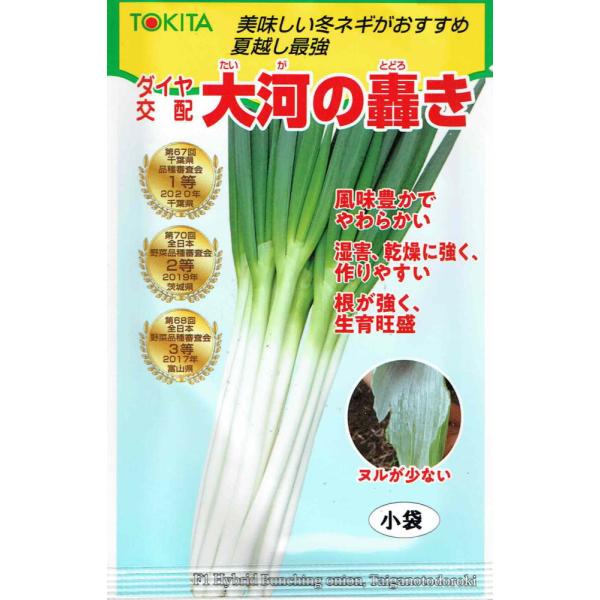 トキタ種苗 ネギ 大河の轟きのタネ(たいがのとどろき)[内容量：5ml]