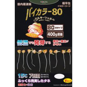 トキタ種苗 トウモロコシ ミルキーシュガー　バイカラー８０のタネ[内容量：約70粒]