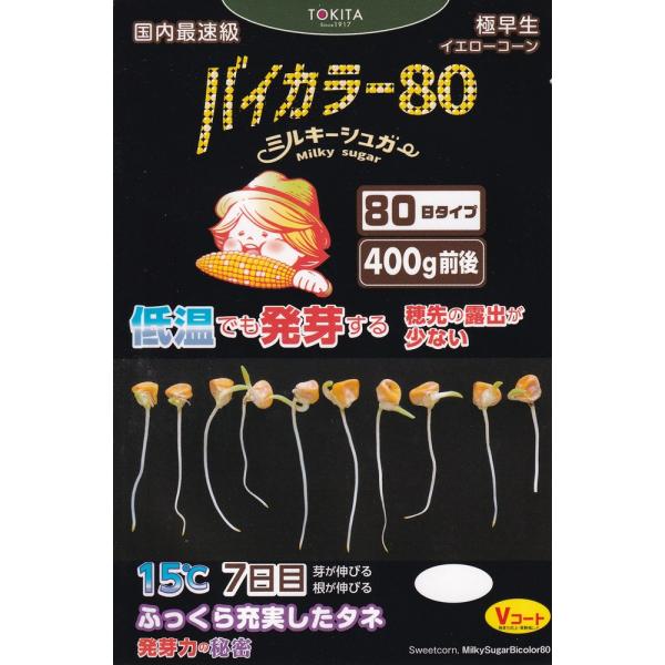 トキタ種苗 トウモロコシ ミルキーシュガー　バイカラー８０のタネ[内容量：約70粒]