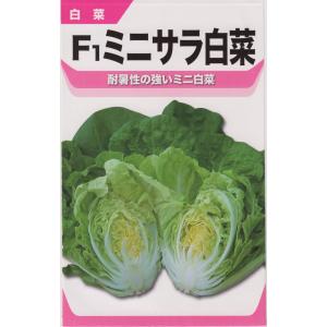 宝種苗 ミニサラ白菜のタネ[内容量：1.5ml]｜nikkoseed2012