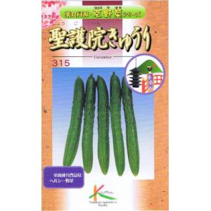 タカヤマシード 伝統野菜 聖護院きゅうり 1.5ml【郵送対応】｜nikkoseed2012