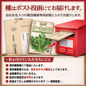 ウタネ 有機種子 ニンジン ホワイトキャロット...の詳細画像2