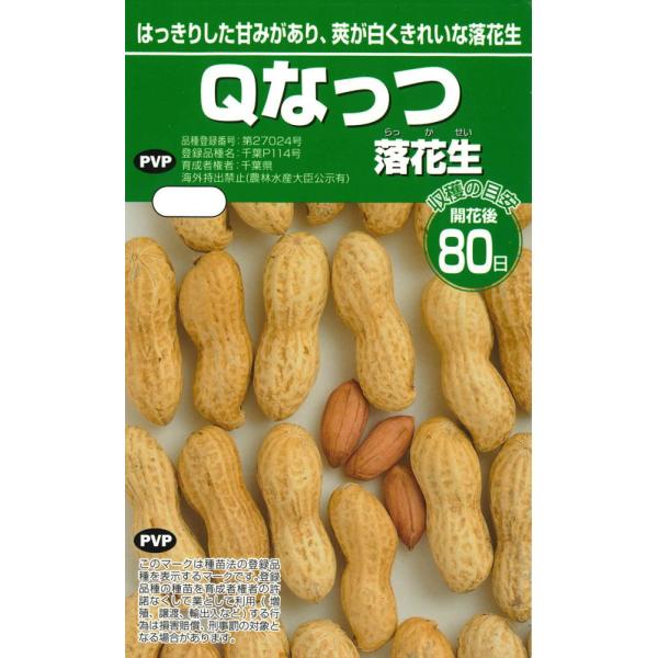 渡辺農事 ラッカセイ Ｑなっつのタネ[内容量：1dl]　品種登録番号：第27024号・海外持出禁止