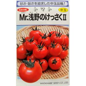 渡辺採種場　トマト・Mr.浅野のけっさく2　約15粒 【郵送対応】