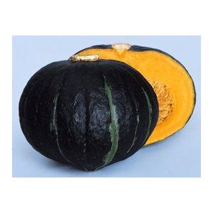 渡辺採種場 カボチャ ダークホース 約500粒 Khabarbani Com