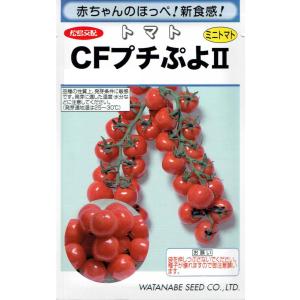 渡辺採種場　トマト　CFプチぷよ２　生種　7粒　【郵送対応】｜nikkoseed2012