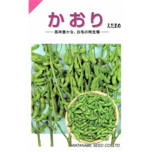 渡辺採種場 エダマメ かおり 43ml 【郵送対応】