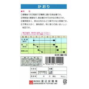 渡辺採種場 エダマメ かおり 43ml 【郵送対応】の詳細画像1