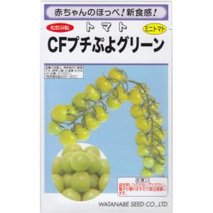 渡辺採種場「ミニトマト CFプチぷよグリーン」のタネ　[内容量:約8粒]