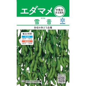 枝豆 神風香 1L 雪印種苗（株） : グリーンロフトネモト - 通販