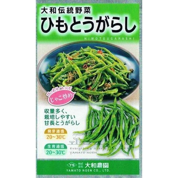 大和農園　トウガラシ　ひもとうがらし　1.0ml　【郵送対応】