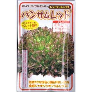 横浜植木　レタス・ハンサムレッド　Lコート種子　約100粒　【郵送対応】