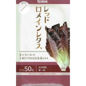 SK9-099 ブロッコリー種子 ペレット5000粒 【野菜種子】【サカタのタネ
