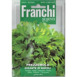 FRANCHI社　イタリアンパセリー　GIGANTE DI NAPORI　15g　108/2｜nikkoseed2012