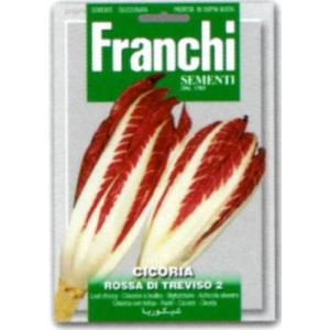 【FRANCHI社】【40/4】リーフチコリー　ROSSA DI TREVISO 2