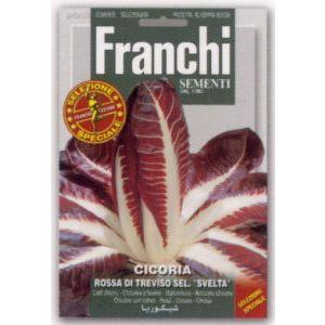 【FRANCHI社種子】【40/53】リーフチコリー　ROSSA DI TREVISO SEL.SVELTA
