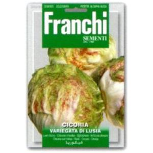 【FRANCHI社】【40/80】リーフチコリー　VARIEGATA DI LUSIA