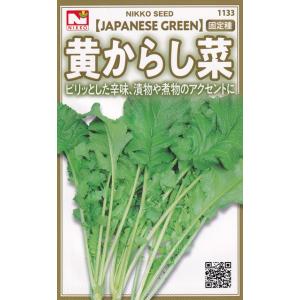 日光種苗 黄からし菜(カラシナ)のタネ [内容量...の商品画像