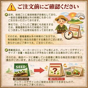 日光種苗 黄からし菜(カラシナ)のタネ [内容...の詳細画像3