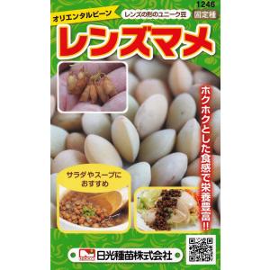 日光種苗　レンズマメ（レンズ豆）のタネ　[内容量：12ml]【1246】