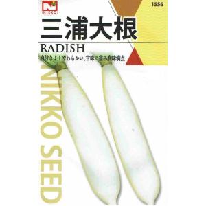 新三浦大根 12ml