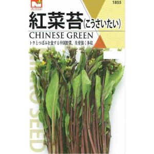 日光種苗 紅菜苔のタネ [内容量:5ml]【18...の商品画像