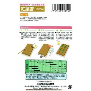 日光種苗 紅菜苔のタネ [内容量:5ml]【1...の詳細画像1