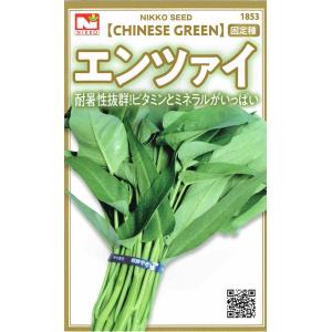 日光種苗 エンツァイのタネ [内容量:5ml]【...の商品画像