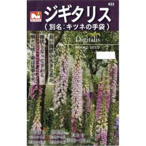 日光種苗　ジギタリスのタネ［内容量:0.2ml］【433】（ジキタリス）