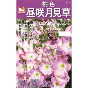 日光種苗　桃色昼咲月見草のタネ［内容量:10ml］