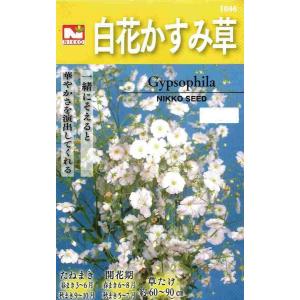 白花かすみ草 花の種 の商品一覧 種 種子 花 ガーデニング 通販 Yahoo ショッピング