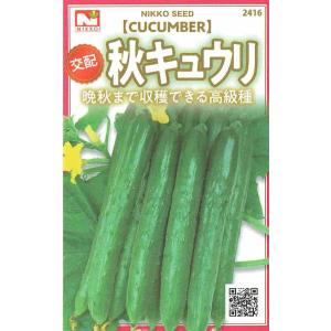 日光交配　秋キュウリ　1.5ｍｌ　