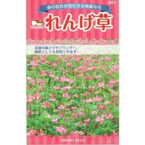 日光種苗　れんげ草　18mL（レンゲソウ、蓮華草、レンゲ種子、れんげ種子）【601】【郵送対応】｜nikkoseed2012