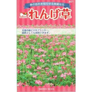 日光種苗　れんげ草のタネ　[内容量：18ml]【601】（約2平方メートル分）（レンゲソウ、蓮華草、...