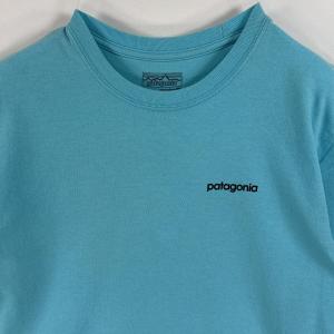 古着 パタゴニア patagonia 半袖Tシ...の詳細画像1