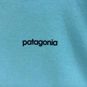 古着 パタゴニア patagonia 半袖Tシ...の詳細画像3