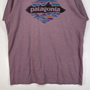 古着 パタゴニア patagonia 半袖Tシ...の詳細画像2