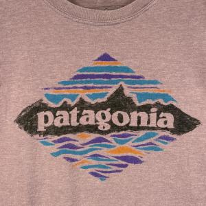 古着 パタゴニア patagonia 半袖Tシ...の詳細画像3