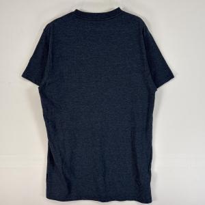 古着 パタゴニア patagonia 半袖Tシ...の詳細画像5