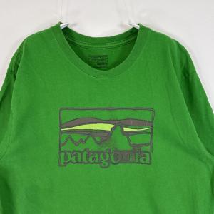 古着 パタゴニア patagonia 半袖Tシ...の詳細画像1