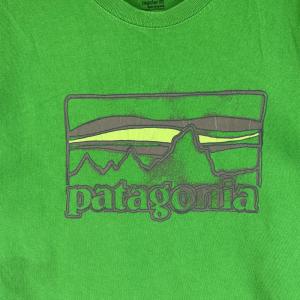 古着 パタゴニア patagonia 半袖Tシ...の詳細画像3