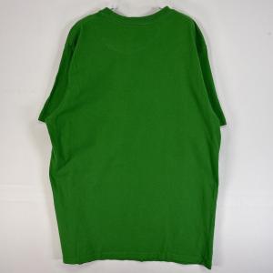 古着 パタゴニア patagonia 半袖Tシ...の詳細画像5