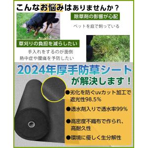 超高耐久 防草シート 1mx50m 固定ピン付...の詳細画像1