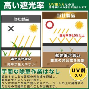 超高耐久 防草シート 1mx50m 固定ピン付...の詳細画像2