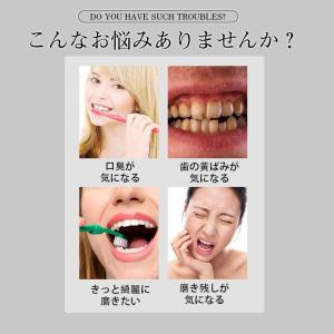 ＼即納/ 電動歯ブラシ 替えブラシ 音波歯ブラ...の詳細画像2